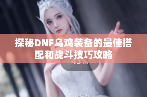 探秘DNF乌鸡装备的最佳搭配和战斗技巧攻略