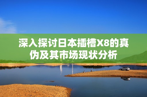 深入探讨日本插槽X8的真伪及其市场现状分析