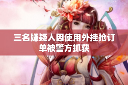 三名嫌疑人因使用外挂抢订单被警方抓获