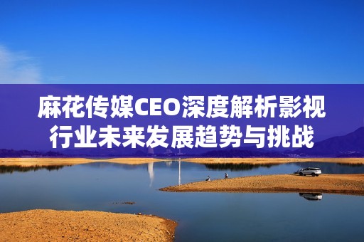 麻花传媒CEO深度解析影视行业未来发展趋势与挑战