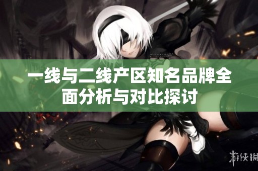 一线与二线产区知名品牌全面分析与对比探讨