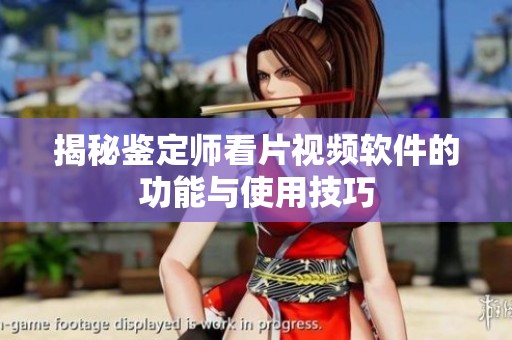 揭秘鉴定师看片视频软件的功能与使用技巧