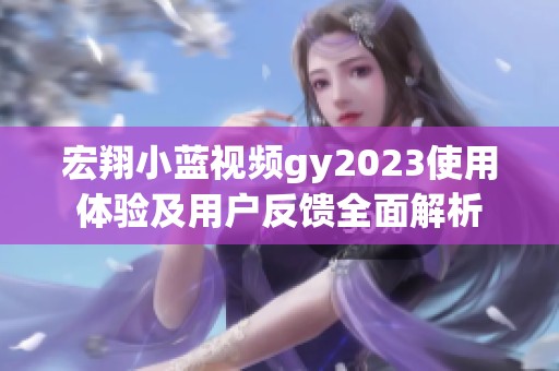 宏翔小蓝视频gy2023使用体验及用户反馈全面解析