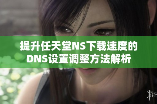 提升任天堂NS下载速度的DNS设置调整方法解析