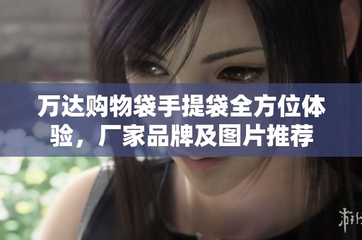 万达购物袋手提袋全方位体验，厂家品牌及图片推荐