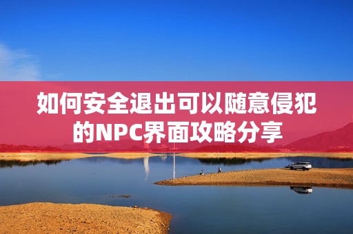 如何安全退出可以随意侵犯的NPC界面攻略分享