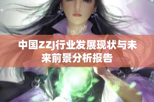中国ZZJ行业发展现状与未来前景分析报告