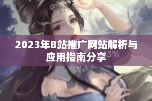 2023年B站推广网站解析与应用指南分享