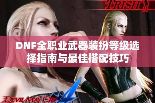 DNF全职业武器装扮等级选择指南与最佳搭配技巧