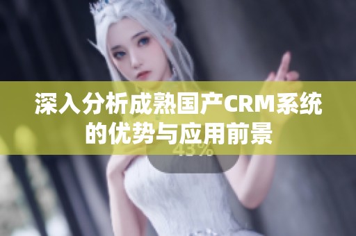 深入分析成熟国产CRM系统的优势与应用前景