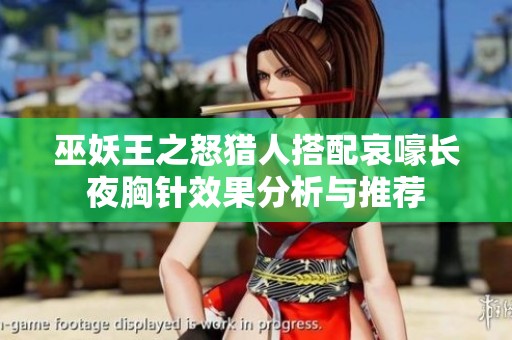 巫妖王之怒猎人搭配哀嚎长夜胸针效果分析与推荐