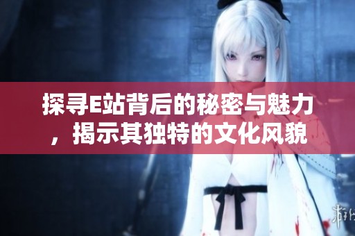 探寻E站背后的秘密与魅力，揭示其独特的文化风貌