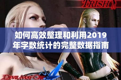 如何高效整理和利用2019年字数统计的完整数据指南