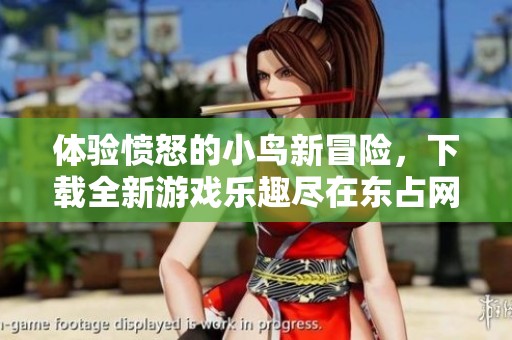 体验愤怒的小鸟新冒险，下载全新游戏乐趣尽在东占网