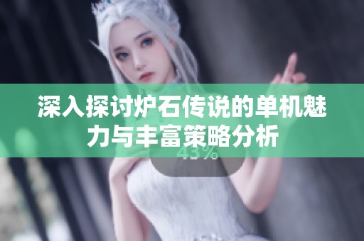 深入探讨炉石传说的单机魅力与丰富策略分析