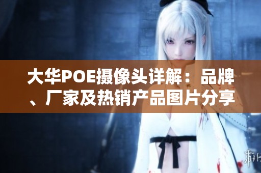 大华POE摄像头详解：品牌、厂家及热销产品图片分享