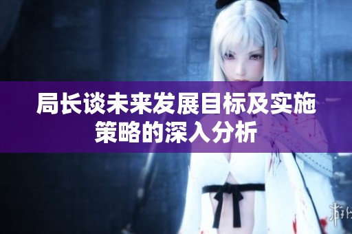 局长谈未来发展目标及实施策略的深入分析