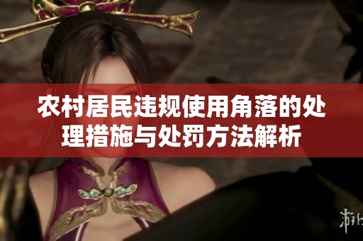 农村居民违规使用角落的处理措施与处罚方法解析