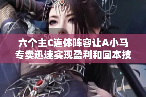六个主C连体阵容让A小马专卖迅速实现盈利和回本技巧分享