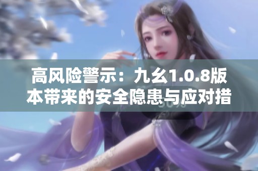 高风险警示：九幺1.0.8版本带来的安全隐患与应对措施