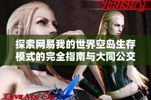 探索网易我的世界空岛生存模式的完全指南与大同公交迷攻略分享