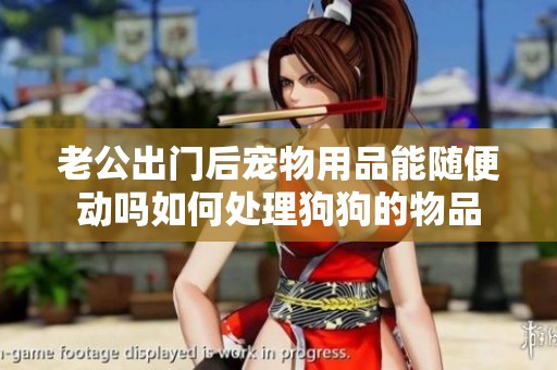 老公出门后宠物用品能随便动吗如何处理狗狗的物品