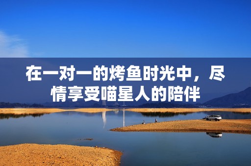 在一对一的烤鱼时光中，尽情享受喵星人的陪伴