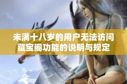 未满十八岁的用户无法访问藏宝阁功能的说明与规定