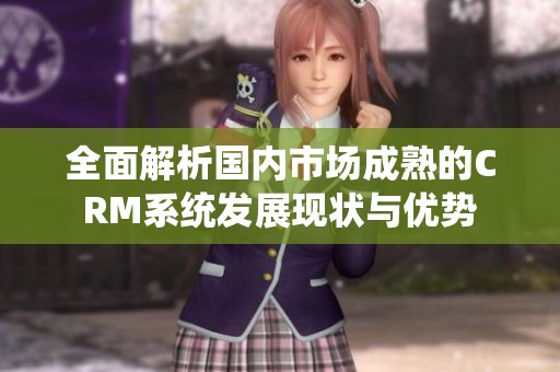 全面解析国内市场成熟的CRM系统发展现状与优势
