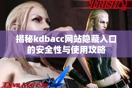 揭秘kdbacc网站隐藏入口的安全性与使用攻略