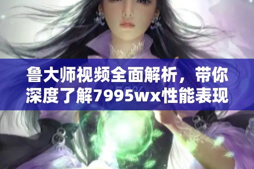 鲁大师视频全面解析，带你深度了解7995wx性能表现