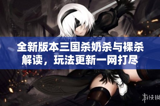 全新版本三国杀奶杀与裸杀解读，玩法更新一网打尽