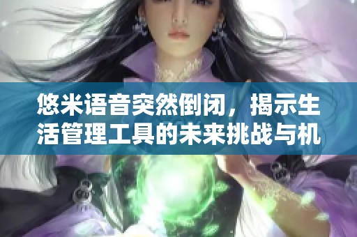 悠米语音突然倒闭，揭示生活管理工具的未来挑战与机遇