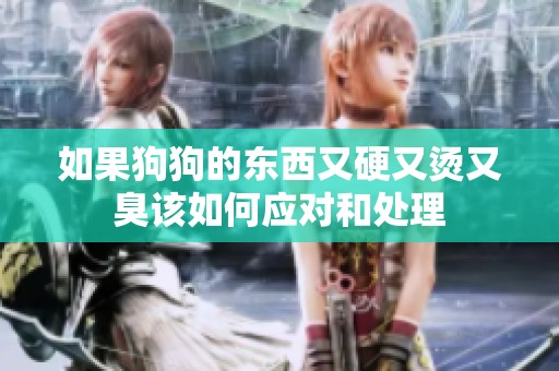如果狗狗的东西又硬又烫又臭该如何应对和处理