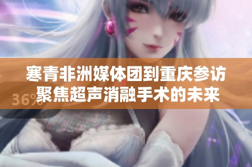 寒青非洲媒体团到重庆参访 聚焦超声消融手术的未来发展