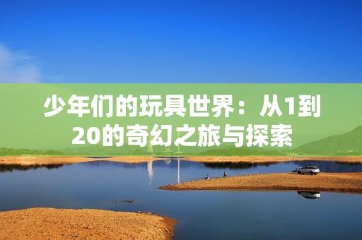 少年们的玩具世界：从1到20的奇幻之旅与探索