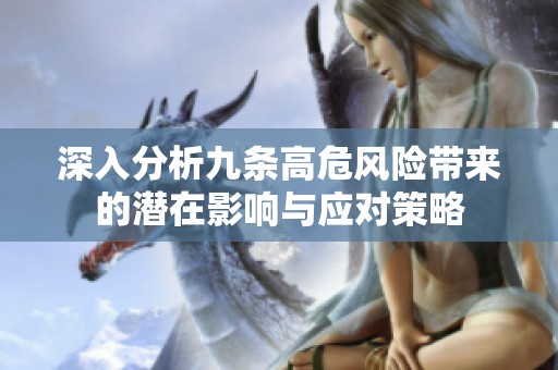 深入分析九条高危风险带来的潜在影响与应对策略