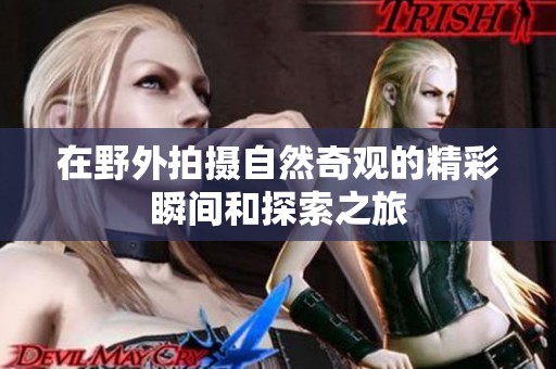 在野外拍摄自然奇观的精彩瞬间和探索之旅