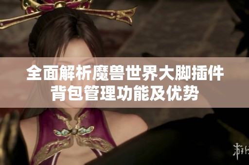 全面解析魔兽世界大脚插件背包管理功能及优势