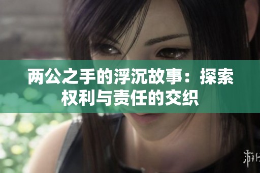 两公之手的浮沉故事：探索权利与责任的交织