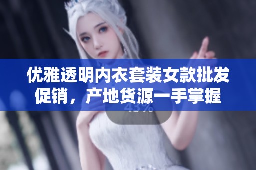 优雅透明内衣套装女款批发促销，产地货源一手掌握