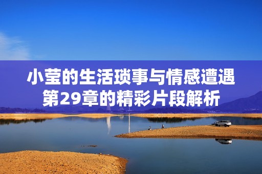 小莹的生活琐事与情感遭遇第29章的精彩片段解析