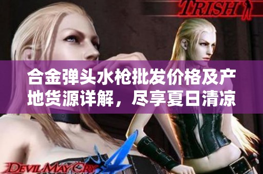 合金弹头水枪批发价格及产地货源详解，尽享夏日清凉