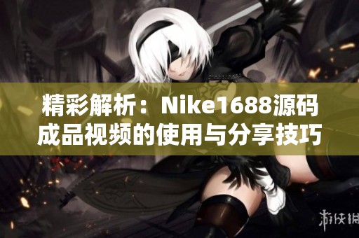 精彩解析：Nike1688源码成品视频的使用与分享技巧