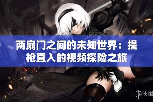 两扇门之间的未知世界：提枪直入的视频探险之旅