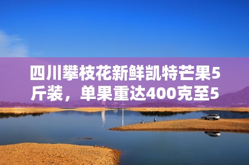 四川攀枝花新鲜凯特芒果5斤装，单果重达400克至500克