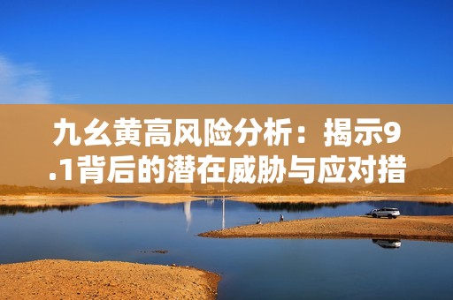 九幺黄高风险分析：揭示9.1背后的潜在威胁与应对措施