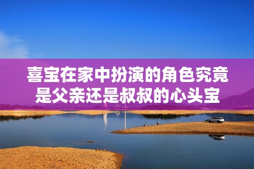 喜宝在家中扮演的角色究竟是父亲还是叔叔的心头宝