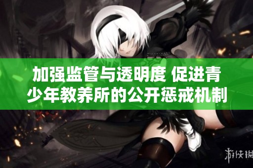 加强监管与透明度 促进青少年教养所的公开惩戒机制建设