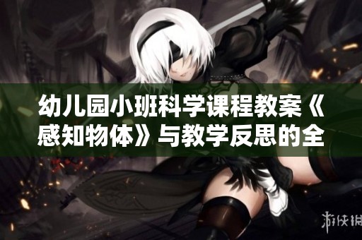 幼儿园小班科学课程教案《感知物体》与教学反思的全面探索